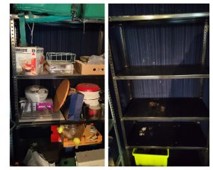 Polish_20220515_070950983